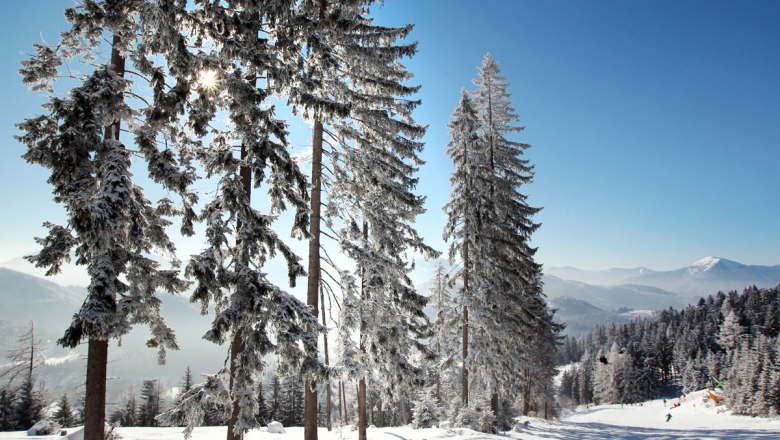 Kouzelná zimní krajina Annabergu, © weinfranz.at