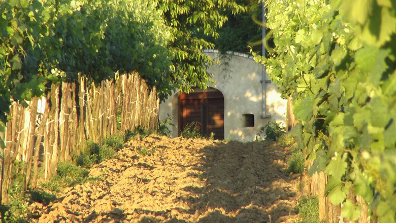 Wine cellar lane Patzmannsdorf, © Marktgemeinde Stronsdorf