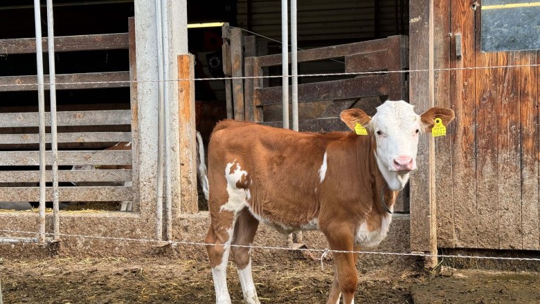 Sunnseit'n organic farm, © Mostviertel Tourismus