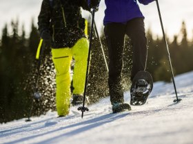 Auf Schneeschuhen durch die verschneite Landschaft, &copy; Wiener Alpen in Nieder&ouml;sterreich