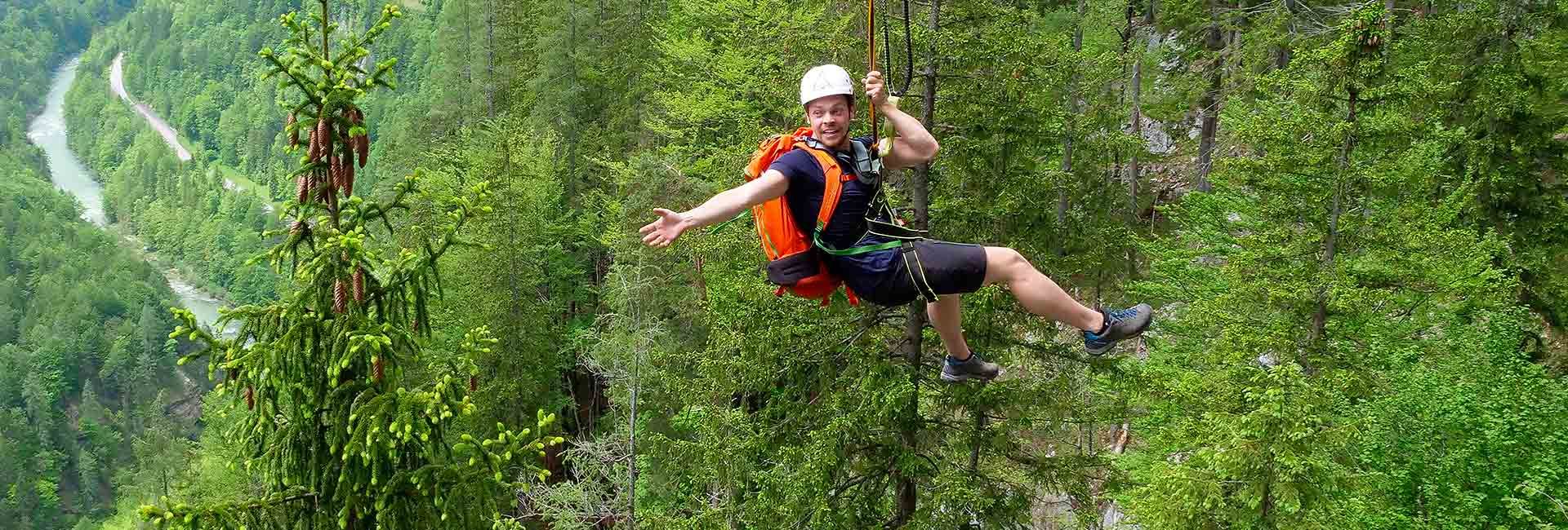 Flying Fox Alpine