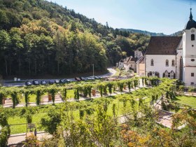 Kartause Aggsbach mit Garten, © Donau NÖ Tourismus/Daniela Matejschek