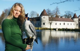 Dolnorakouské středisko sokolnictví a dravců, © NÖ Falknerei- und Greifvogelzentrum