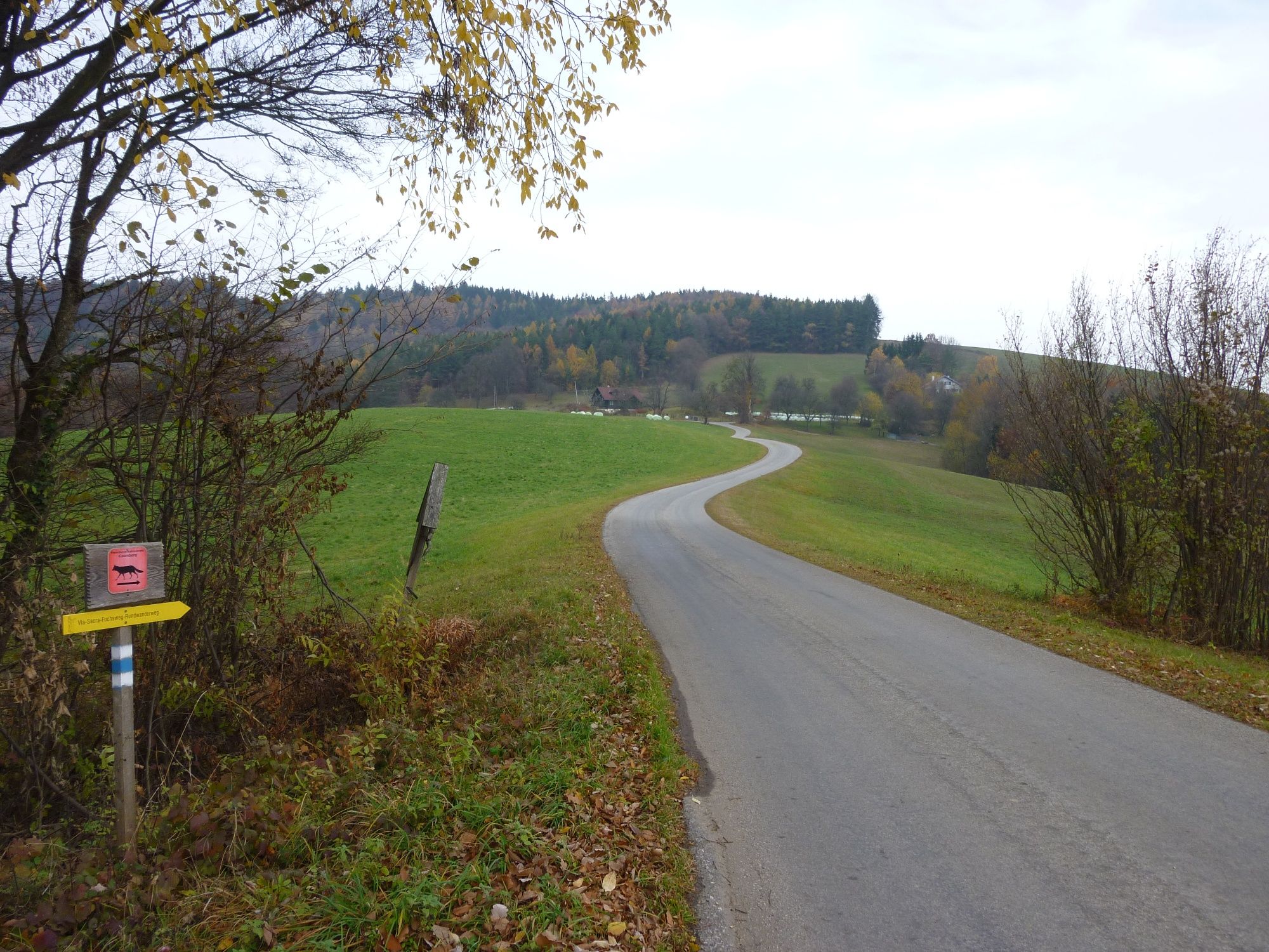 Směr Stadlmann