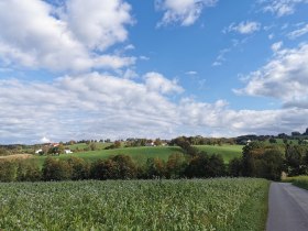 Weg Richtung Spachl, &copy; Brigitte Hofschwaiger