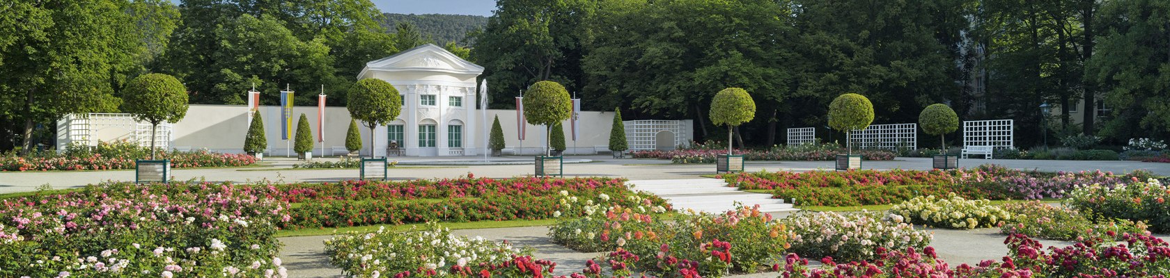 Rosarium Baden bei Wien, © Rainer Mirau