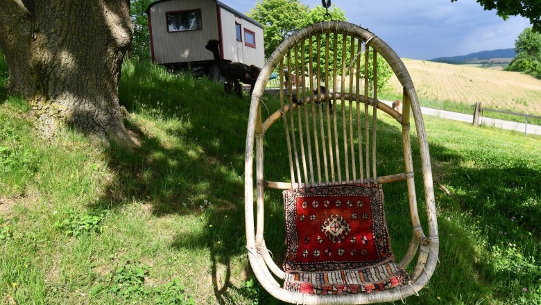 Leopold-the llama herding cart, © lamawanderland