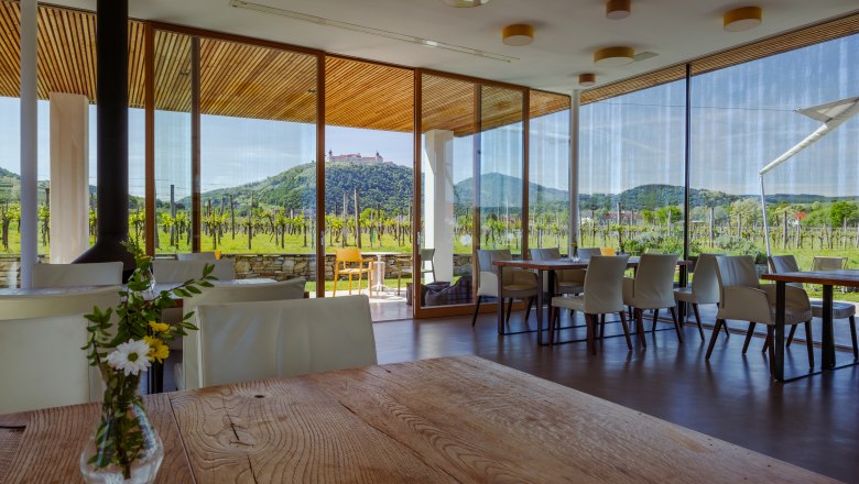 Pohled do interiéru moderní restaurace s výhledem na vinice.