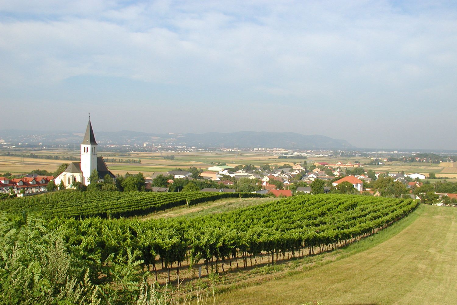 Pohled na Stetten s kostelem a vinicemi v popředí.