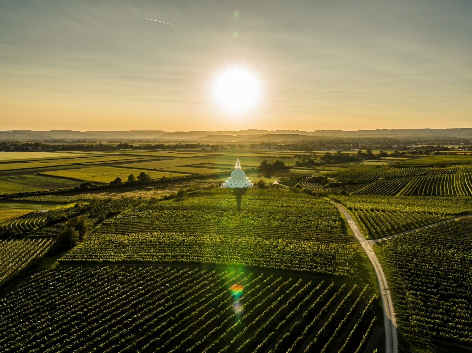 Západ slunce nad vinicemi ve Feuersbrunn-Ritzenthalu se stúpou