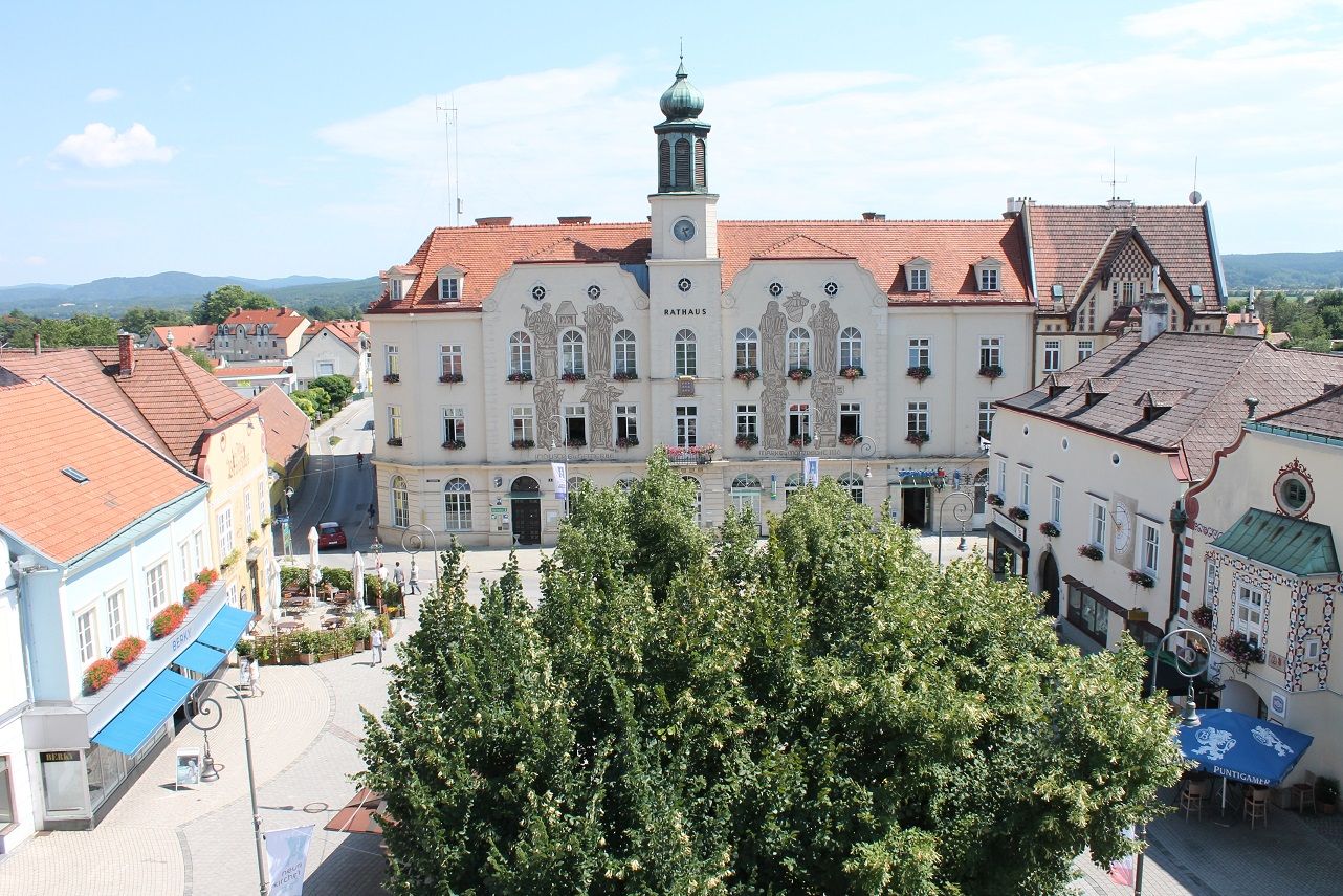 Historická radnice na slunném náměstí s okolními budovami a stromy.