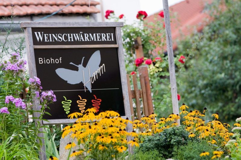 Tabulka s nápisem "Weinschwärmerei Biohof Harm" v kvetoucí zahradě.