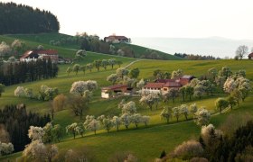 Photo point St. Peter in der Au, © schwarz-koenig.at