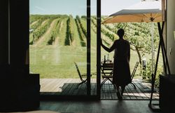 Ein sanfter Wind weht durch die Weinreben, während die Sonne golden über die Hügel strahlt. Die ruhige Atmosphäre lädt dazu ein, die Schönheit der Natur zu genießen und sich bei einem Glas Wein zu entspannen. Hier, wo die Trauben reifen, wird der Herbst zu einem Fest der Sinne.