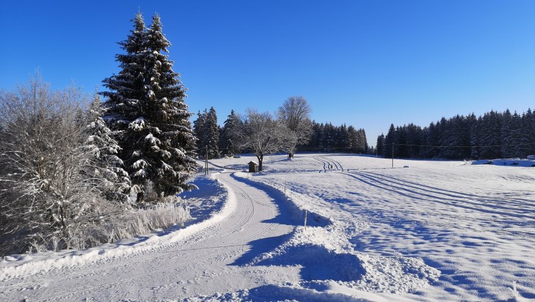 Access and trail, © Friedlhof