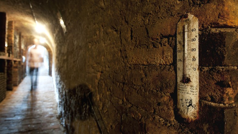 In the cellar, © Martinshof