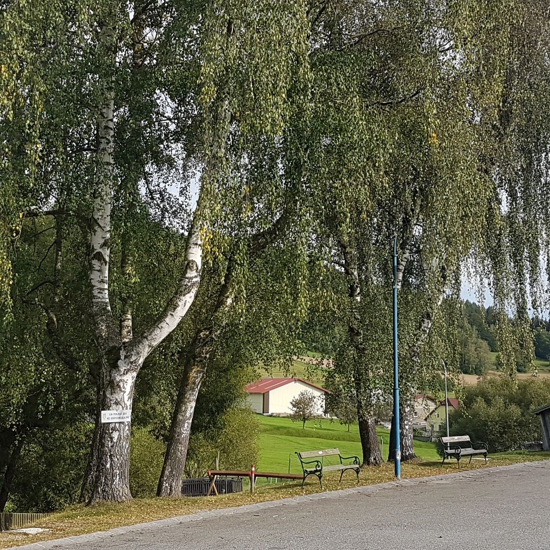 Vesnická stezka
