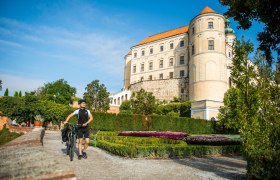 Ein Abstecher nach Mikulov zahlt sich aus, &copy; Weinviertel Tourismus / POV Robert Herbst