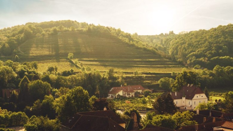 Weingut Heltihof, © Weingut Faltl