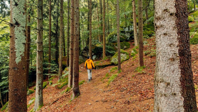 Druid path, © Creative Jungle