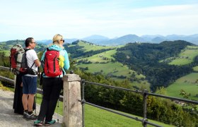 Blick vom Sonntagberg, © weinfranz.at
