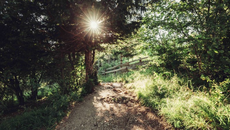 Hohe Wand Nature Park, © Naturpark Hohe Wand/Fraller