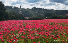 Stift Zwettl, © Unknown