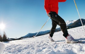 Cross-country skiing through the snow, &copy; weinfranz.at