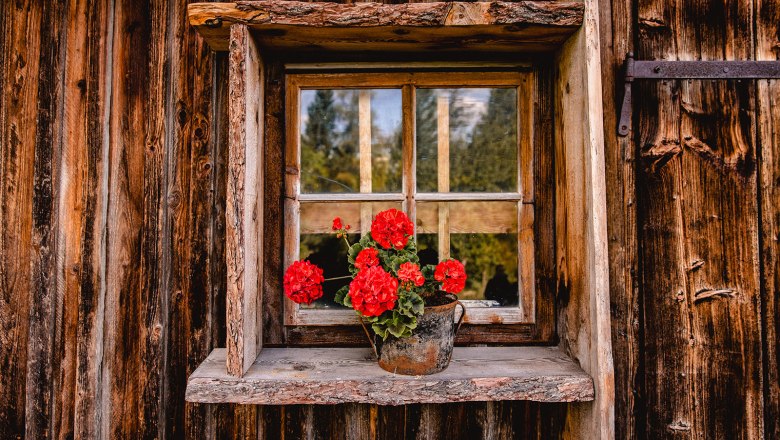 Nestelberg 17 (c)Marlene Schindlegger (52), © Sabine Wieser