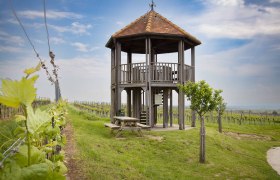 KWTD Fels am Wagram viewing platform, &copy; Donau Nieder&ouml;sterreich, Barbara Elser