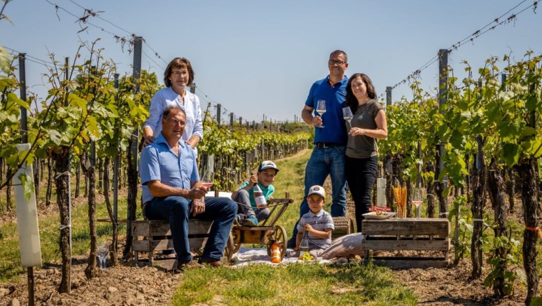 Viticulture Maier, © Weinbau Maier