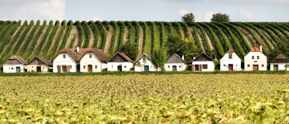 jednoduché a prosté z nepálené hlíny nebo cihel, relikt z 18. století. Sklepní ulička Diepolz., © Weinviertel Tourismus/Wurnig