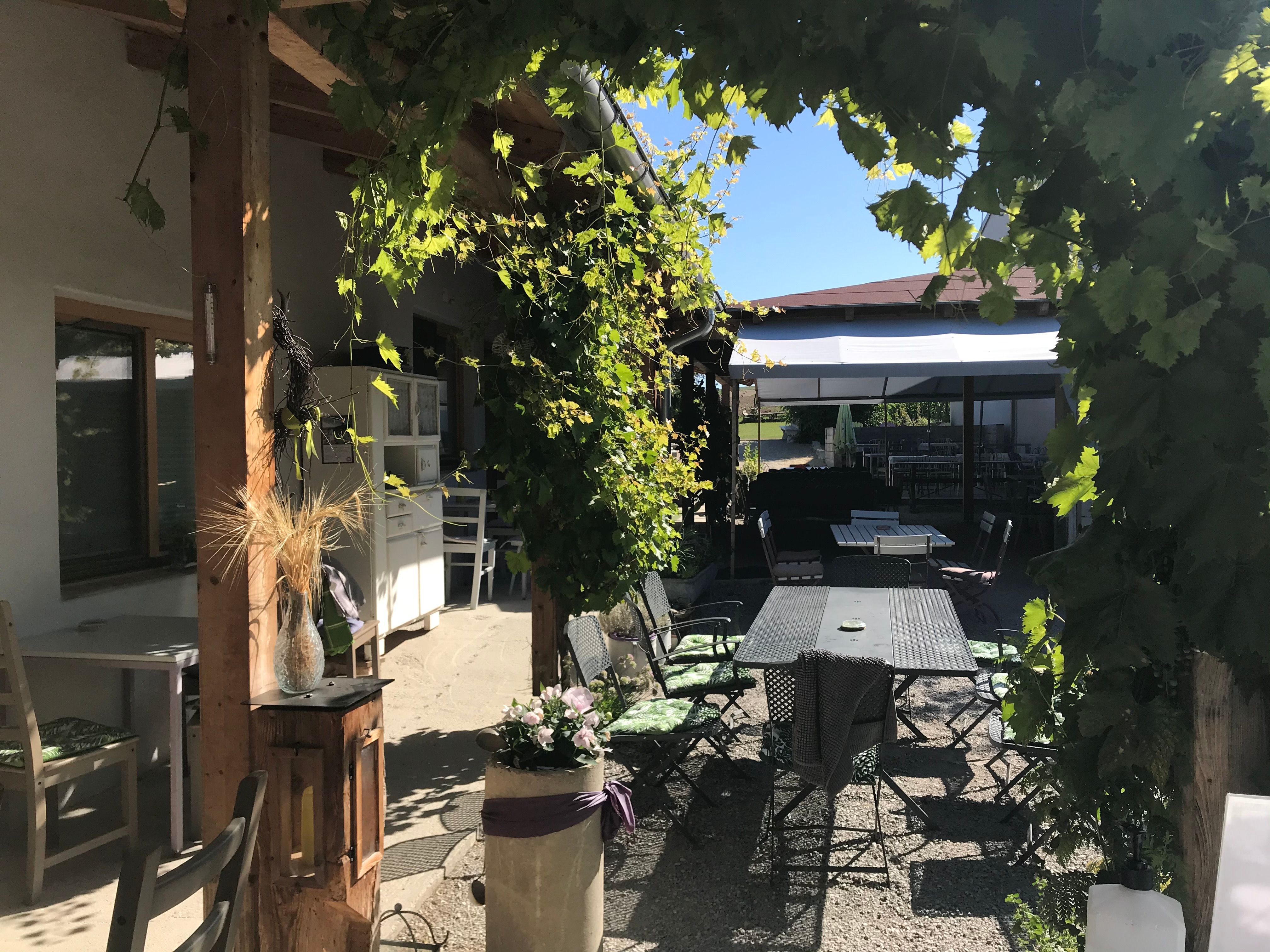 Útulná zahrada pro hosty se stoly a židlemi, obklopená zelenou vinnou révou a slunečními paprsky.