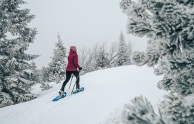 Výlet na snežnicích na Raxu, © Tereza Bokrová