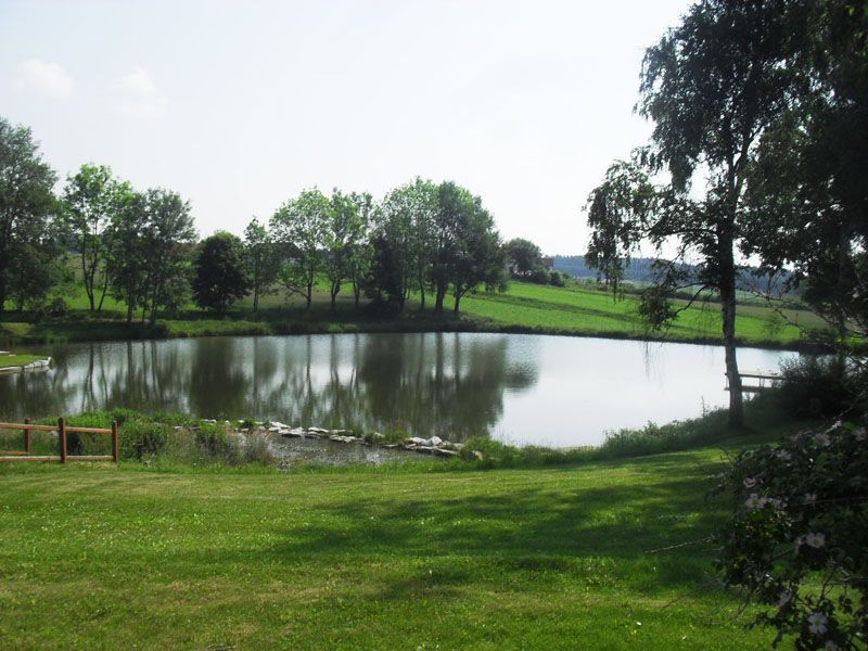 Místní rybník Sallingberg