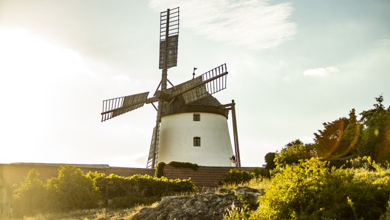 Windmühle Retz Bild 1, © Maximilian Pawlikowsky