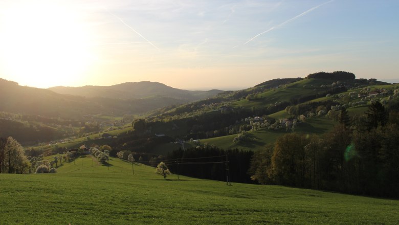 Rozhledna Voralpenblick, © Pöchacker - Mostviertel Tourismus