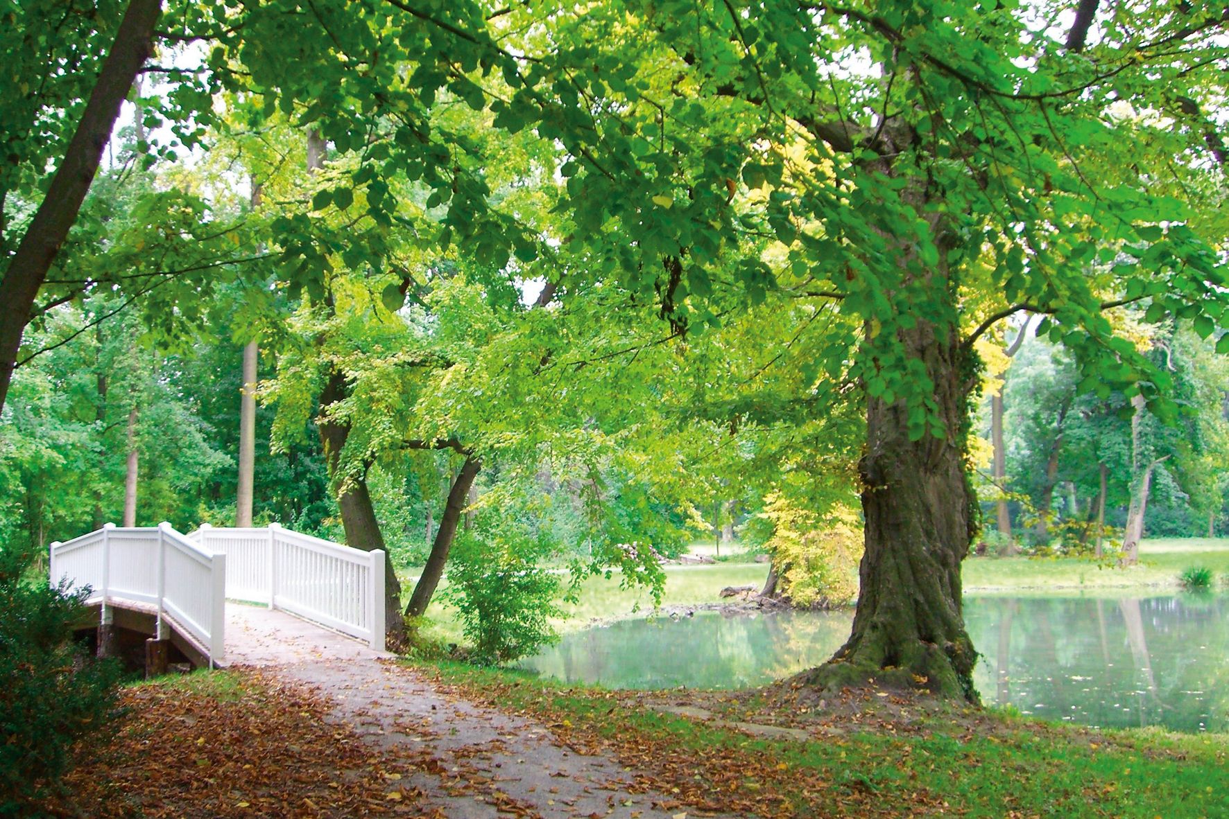 Harrachův park