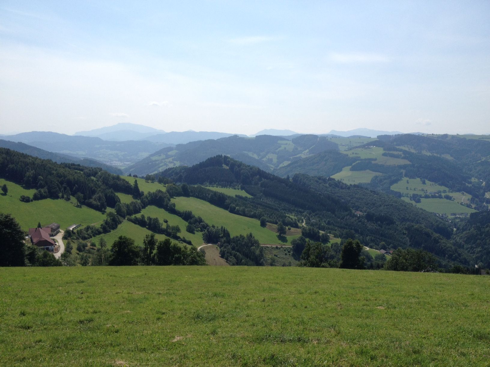 Panorama kopcovité krajiny s loukami a lesy pod modrou oblohou.