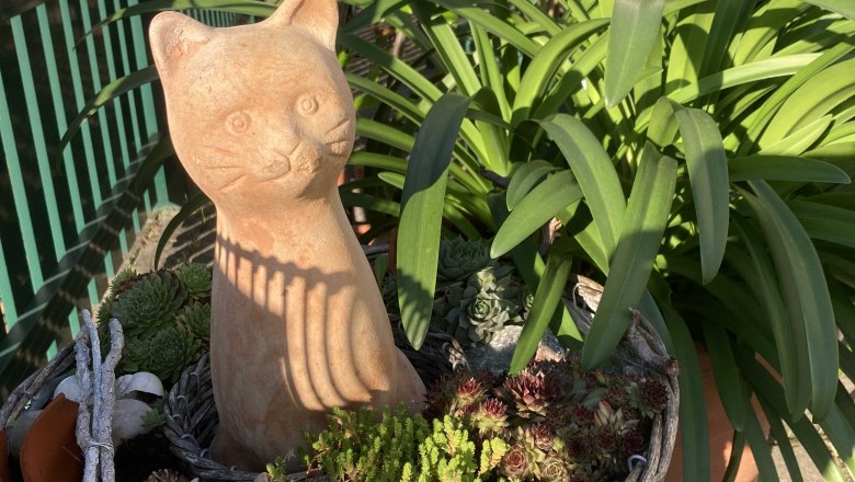 img_0346, &copy; Fr&uuml;hst&uuml;ckspension Gerstbauer