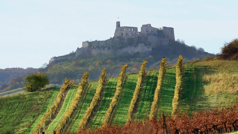 Falkenstein v regionu Weinviertel, © WTG/ Weiss