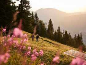 Rax, Wandern, Raxalpe, Wiener Alpen in Niederösterreich, © Niederösterreich Werbung/Stefan Mayerhofer
