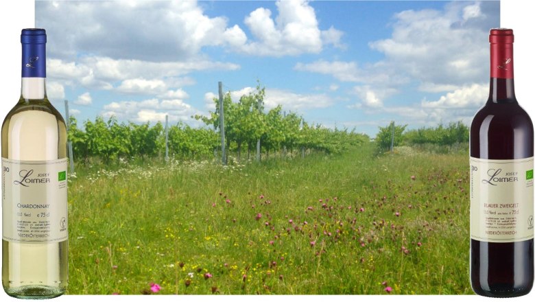 summer_3, © Josef Loimer