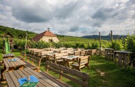 Weingut Höllmüller Garten mit Heurigenbetrieb, © Familie Höllmüller