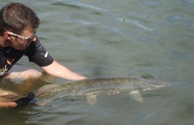 Catch&amp;Relase Langau 2, © Hannes Messmann