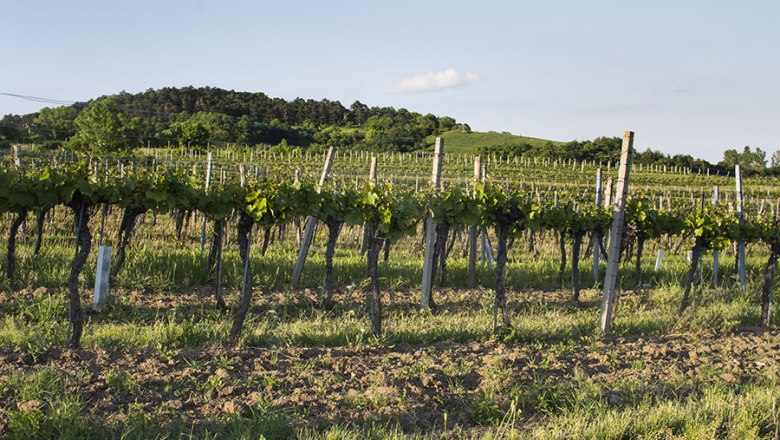 The surroundings, &copy; Hotel Holzinger