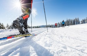 Langlaufen in den Wiener Alpen, &copy; Wiener Alpen in Nieder&ouml;sterreich