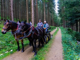 Bequem mit dem Pferdegespann unterwegs, &copy; Unknown