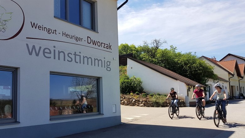 E-bike rental, &copy; weinstimmig Dworzak