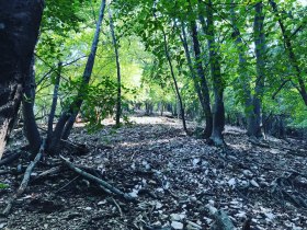 Kaisersteig Sparbach, &copy; Wienerwald